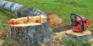 Mulching Services in Cathedral City, CA
