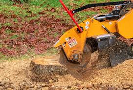 Cathedral City, CA Tree Services Company
