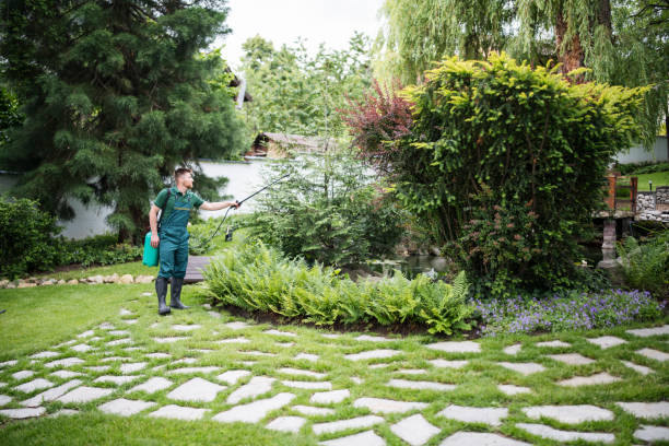 Best Stump Grinding and Removal  in Thedral City, CA
