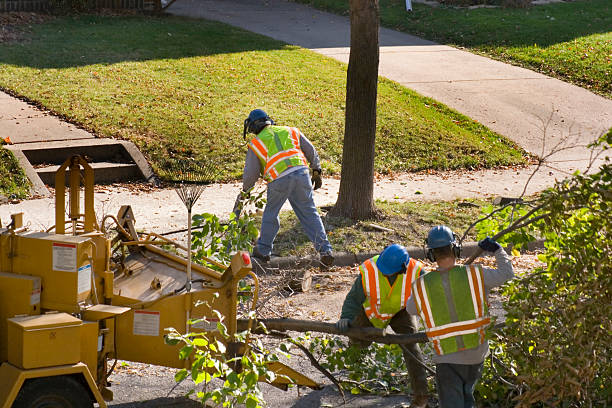 Landscape Design and Installation in Cathedral City, CA